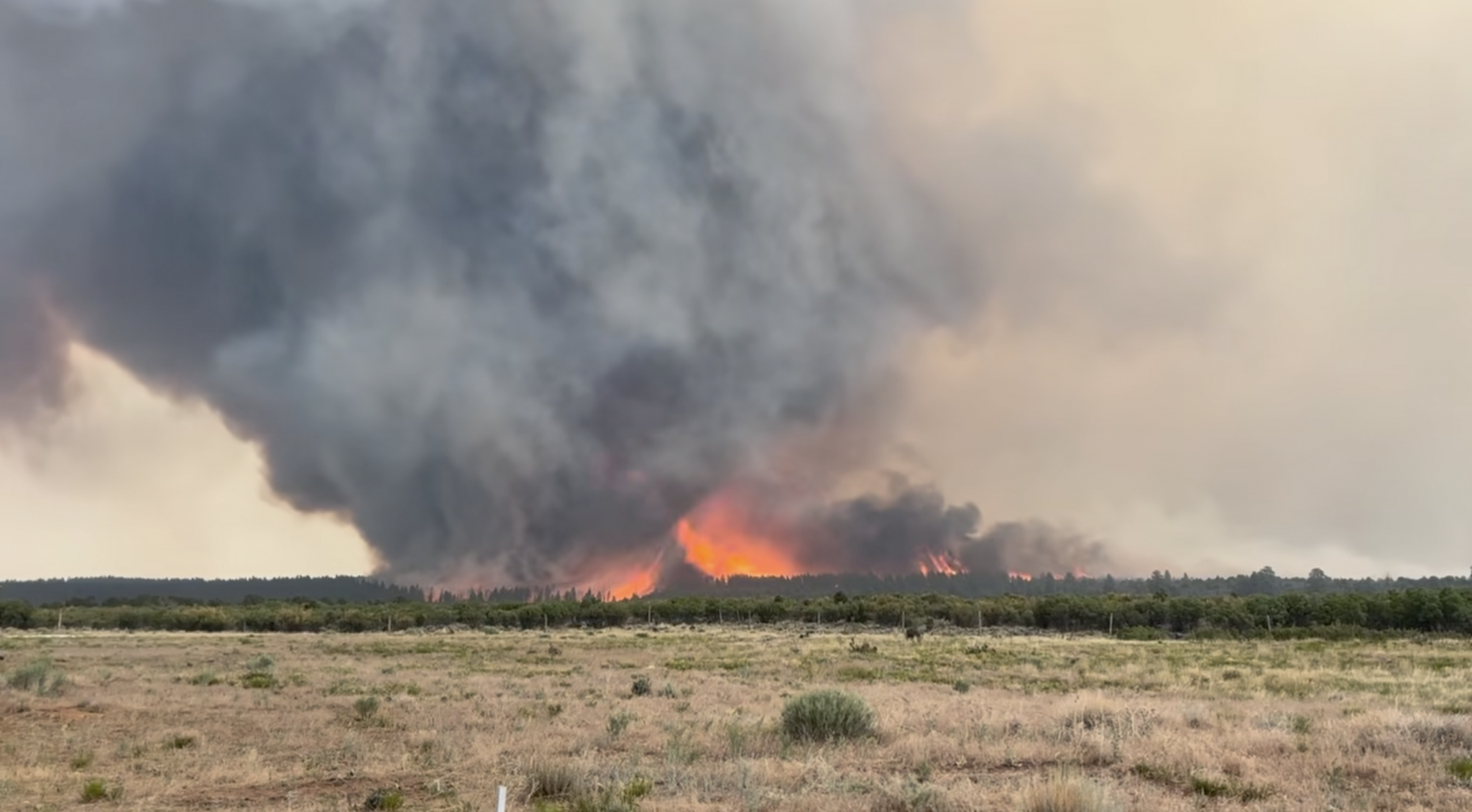 10,000 acres burned by Deer Creek Fire near Old La Sal | San Juan Record