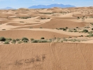 Sand dunes along the road to Robbers Roost, photo by Merry Palmer