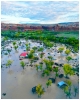 Flooding along the San Juan River. David Kartchner photo